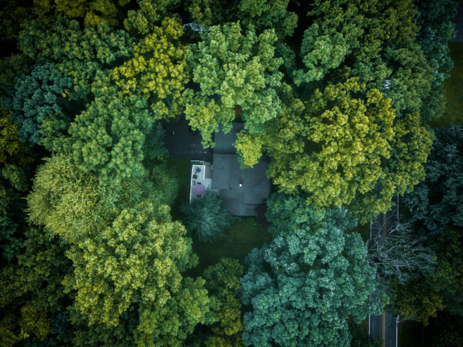 12684 Minges Road South Battle Creek, MI 49015 - Photo 40 of 41 DJI_0044