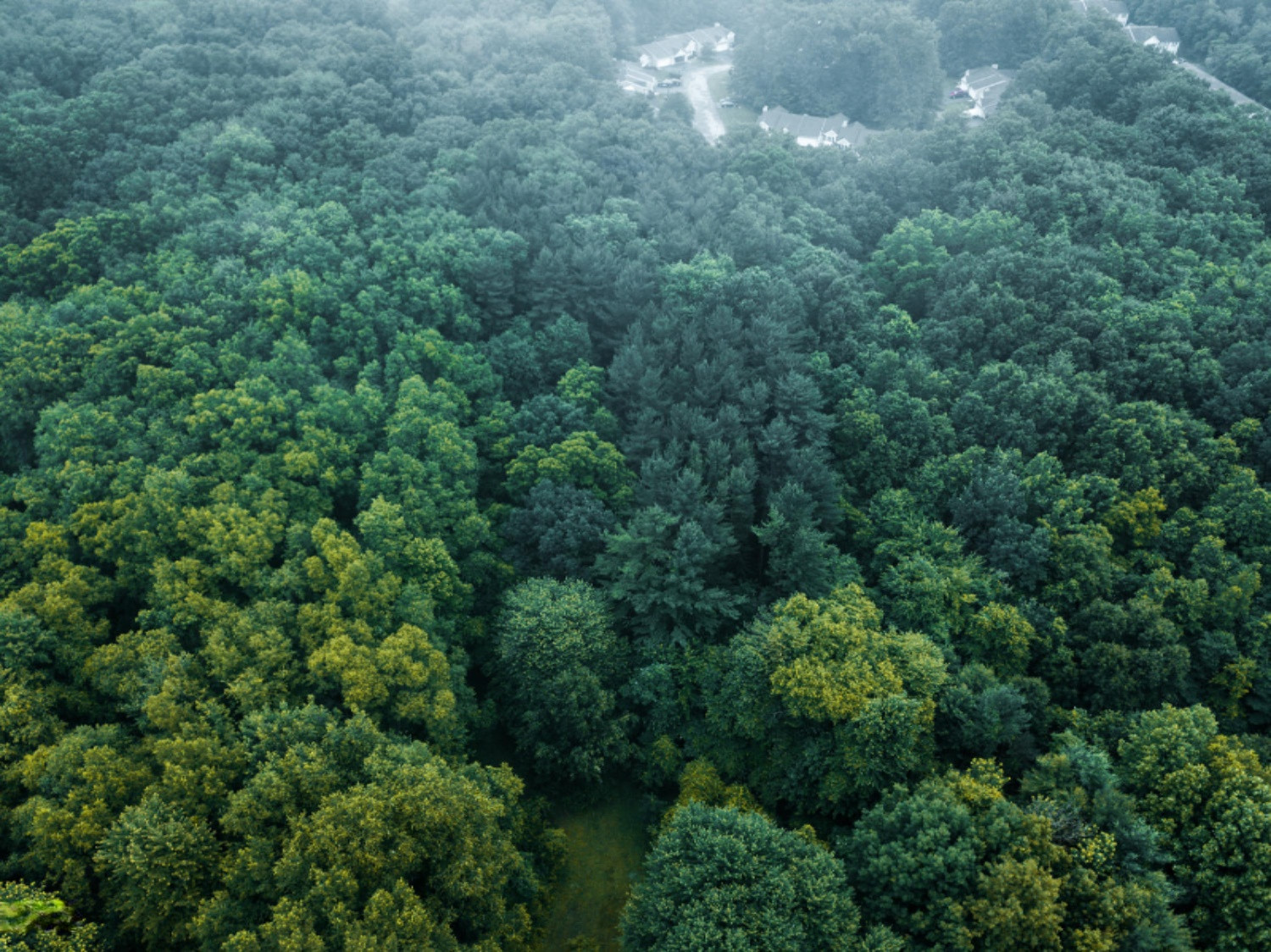 12684 Minges Road South Battle Creek, MI 49015 - Photo 41 of 41 DJI_0099