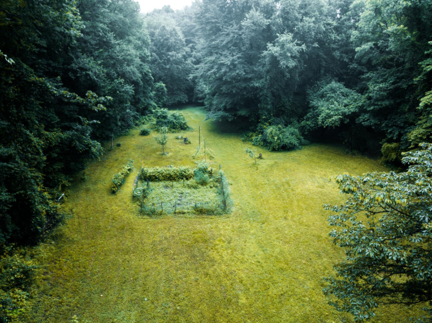 12684 Minges Road South Battle Creek, MI 49015 - Photo 5 of 41 DJI_0088