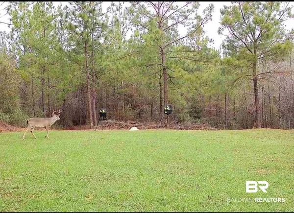 $150,000 | 58979 Jack Springs Road, Perdido, AL 36562