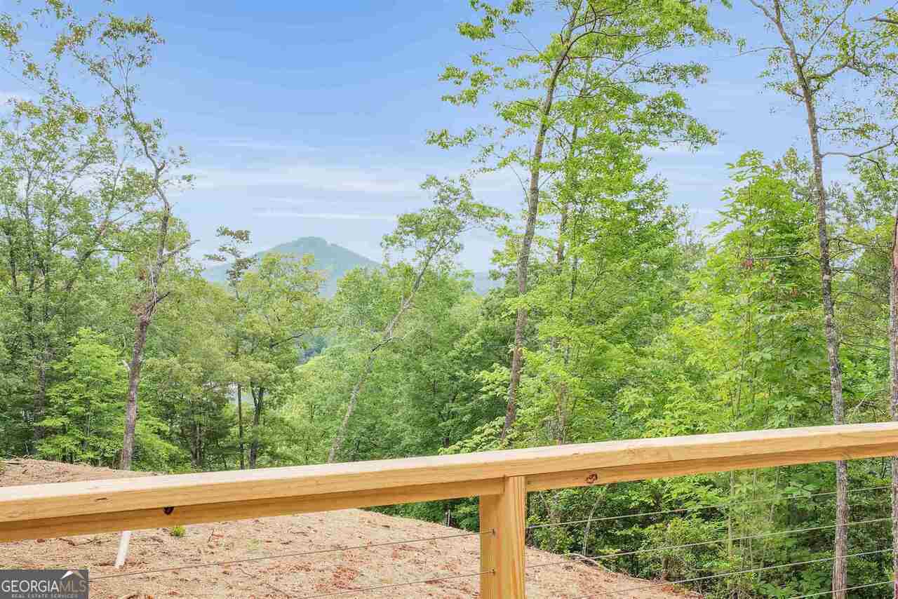 132 Summit Ridge Drive Clarkesville, GA 30523 - Photo 4 of 84