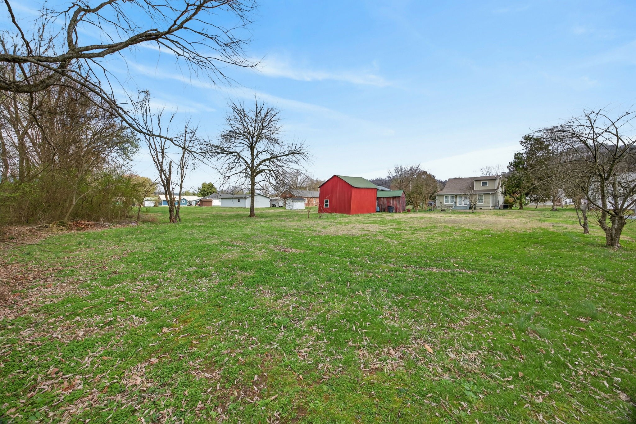 1385 Mitchell Street Celina, TN 38551 - Photo 26 of 35 a view of a park with large trees