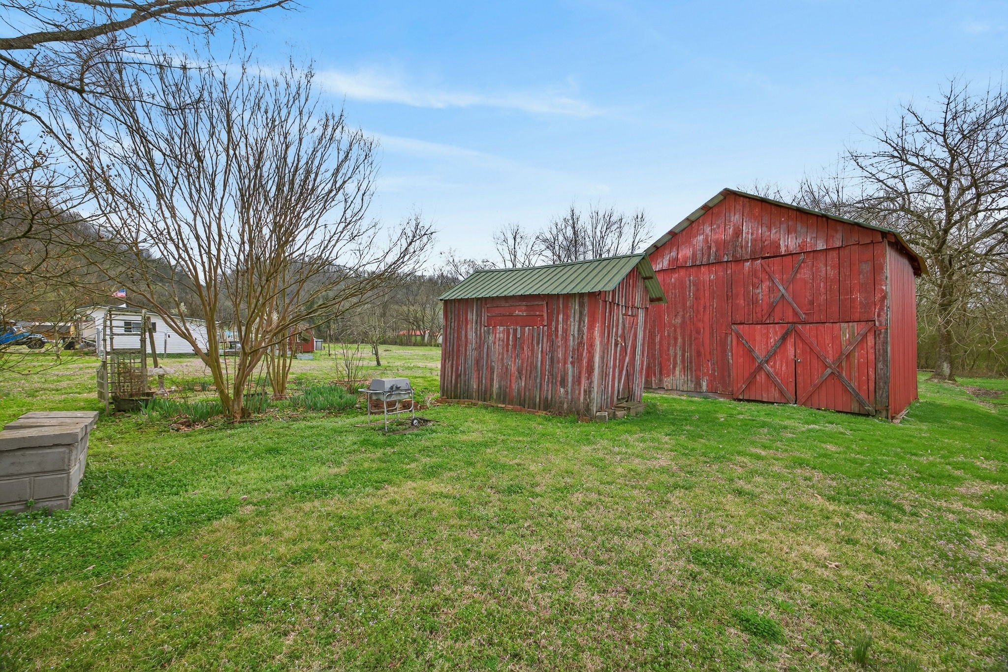 1385 Mitchell Street Celina, TN 38551 - Photo 3 of 35 a view of backyard with barn and green space