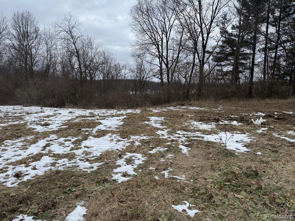 4050 Metamora Ridge Road Metamora, MI 48455 - Photo 5 of 6
