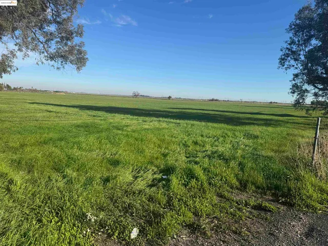 a view of a field with an ocean
