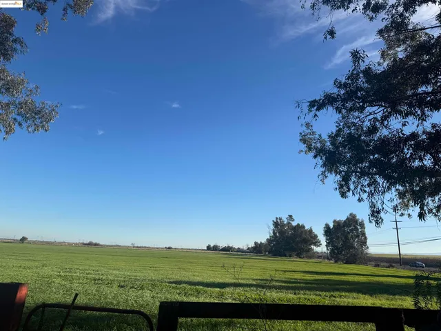 a view of a field with an ocean