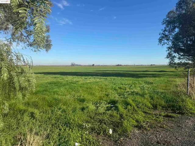 a view of a field with an ocean