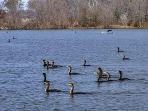 $1,990,000 | 1100 Vz County Road 3419, Wills Point, TX 75169