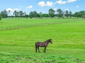 $1,990,000 | 1100 Vz County Road 3419, Wills Point, TX 75169