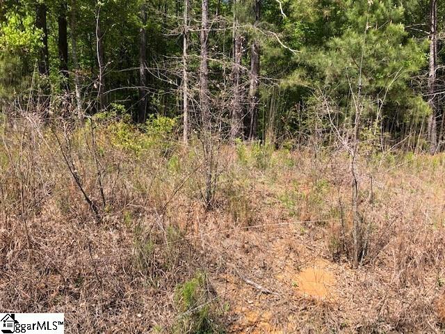 147 Chandler Road Pelzer, SC 29669 - Photo 1 of 2