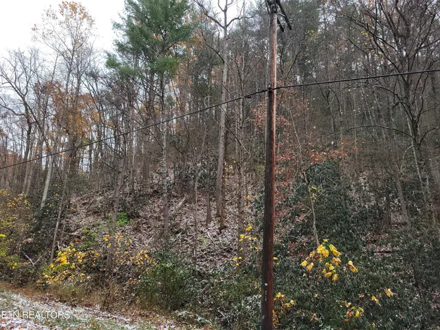 $12,000 | Lot 37-38 Alpine Drive, Sevierville, TN 37876