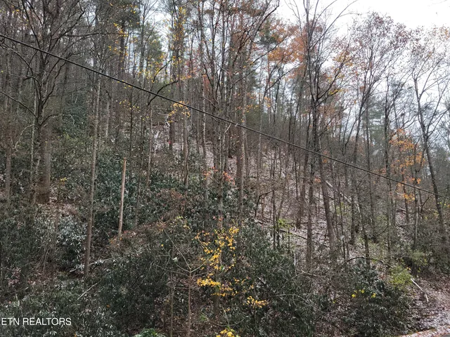 $12,000 | Lot 37-38 Alpine Drive, Sevierville, TN 37876