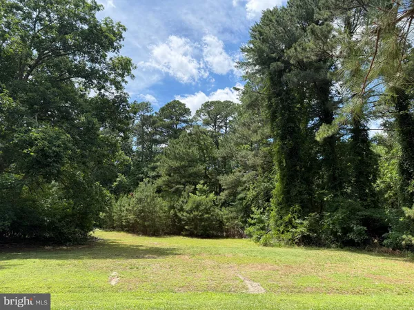 a view of green field with an trees