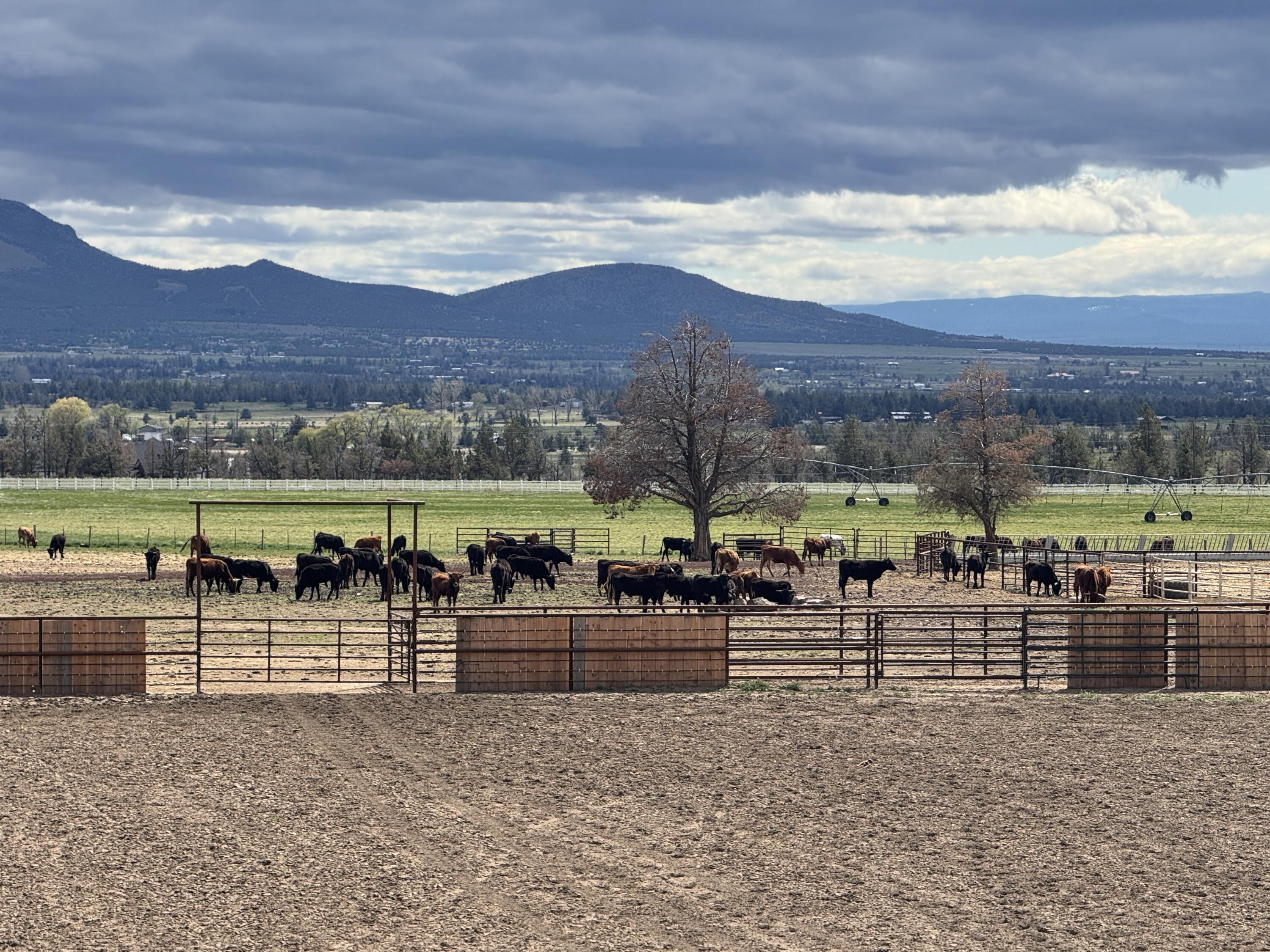 1299 Northwest McDaniel Road Powell Butte, OR 97753 - Photo 91 of 110 IMG_9311