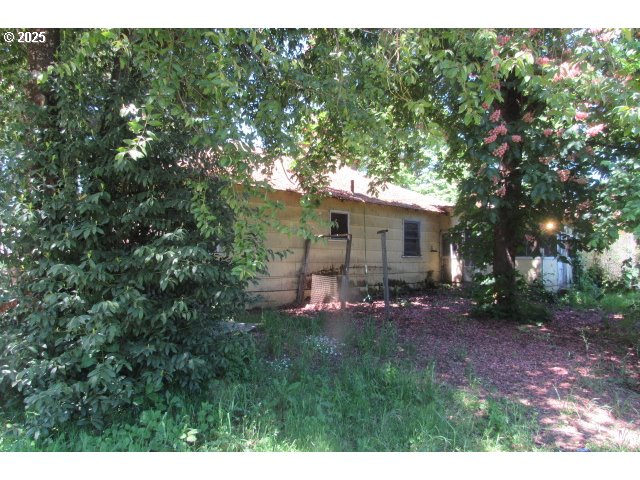 509 East Dyke Road Dillard, OR 97432 - Photo 4 of 13 Gallery Image 4
