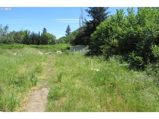 509 East Dyke Road Dillard, OR 97432 - Photo 5 of 13 Gallery Image 5