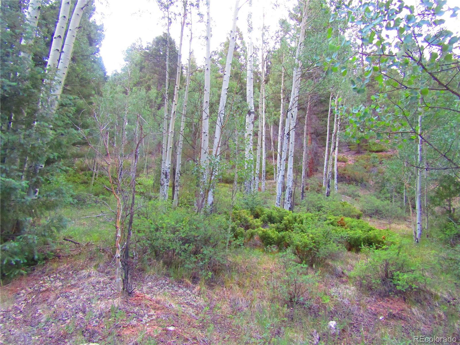 Lot 6461 Jacquez Road San Luis, CO 81152 - Photo 22 of 22
