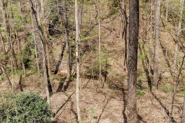 $475,000 | 135 Hidden Hills Lane, Athens, GA 30605
