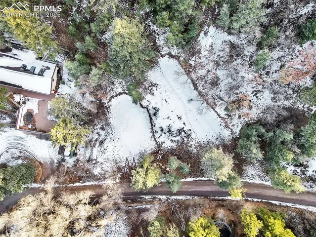 a view of a yard with plants and trees