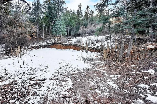 a view of a snow in between of two large trees