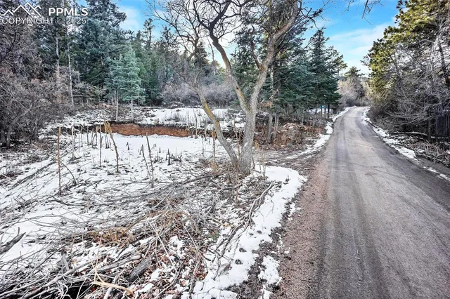 a view of a yard with trees