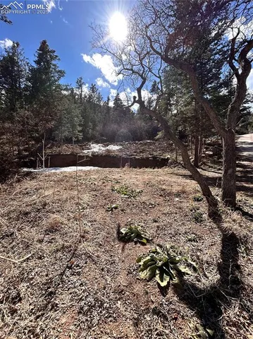 a view of a yard with trees