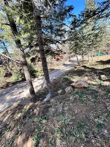 a view of a yard with plants and trees
