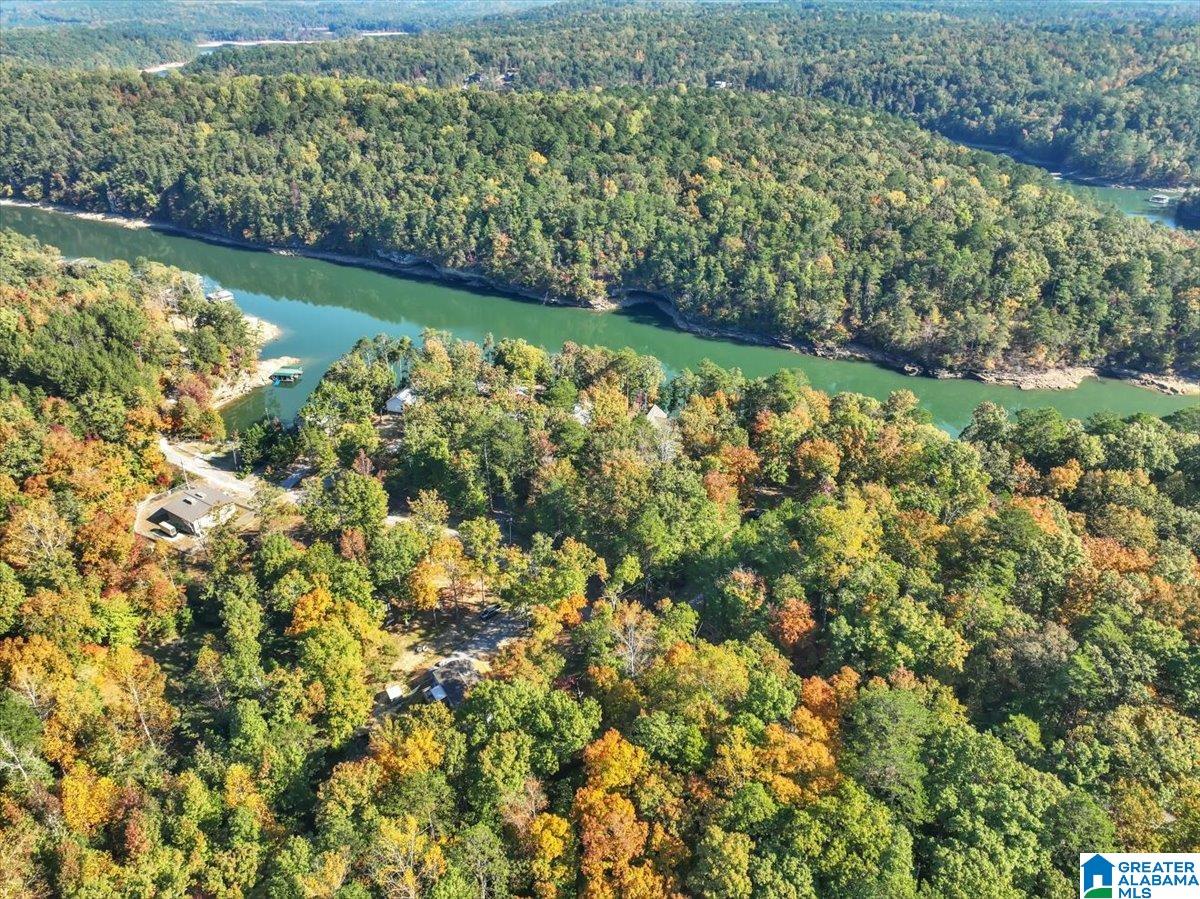 495 Bluff Way Drive Jasper, AL 35503 - Photo 24 of 26