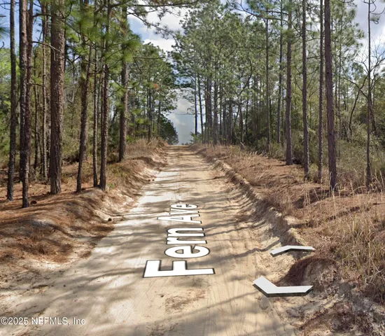 a view of a trees with yard