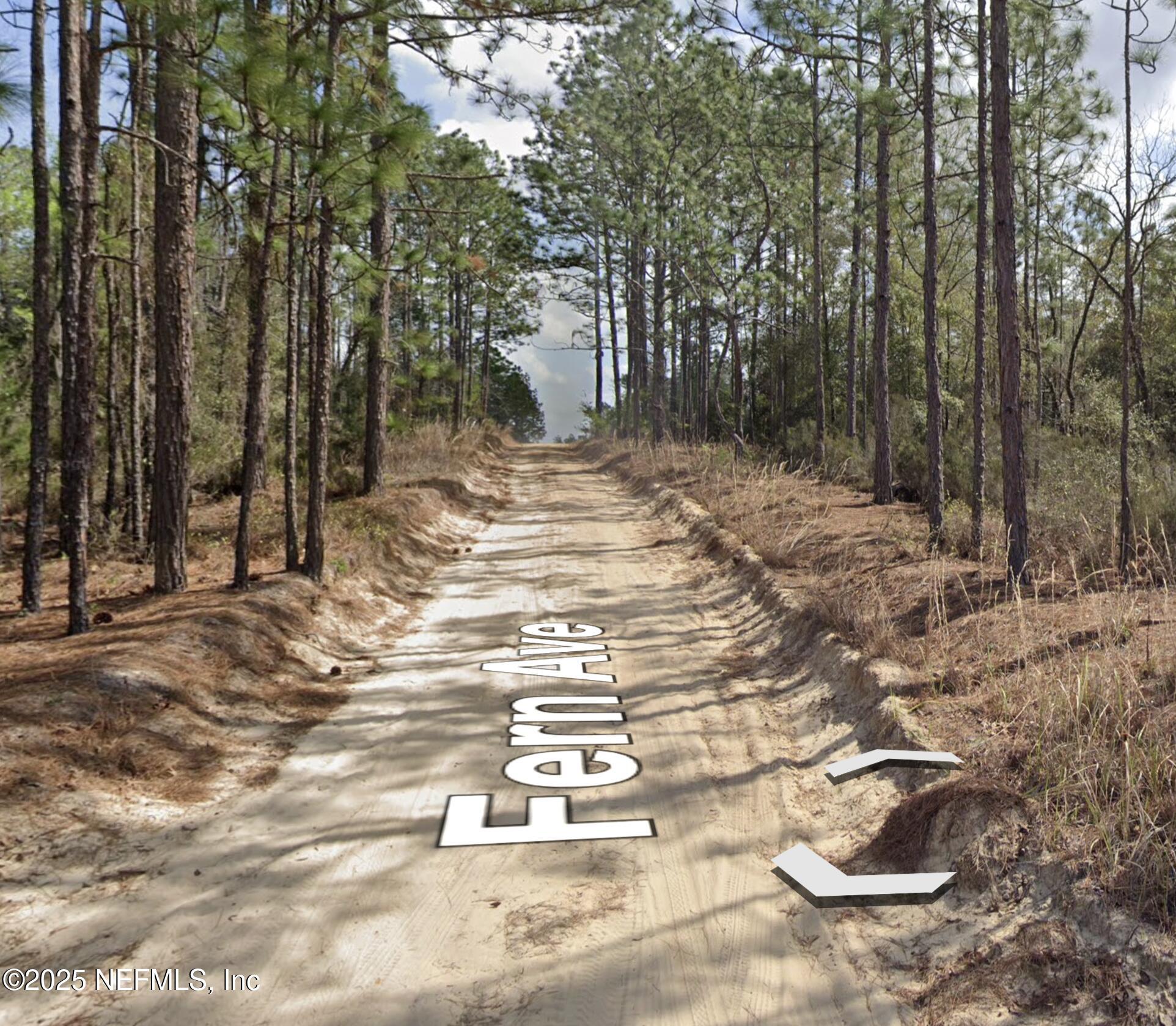 a view of a trees with yard