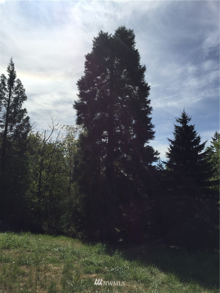 -xxx Cris Road Kelso, WA 98626 - Photo 7 of 9 Gallery Image 7