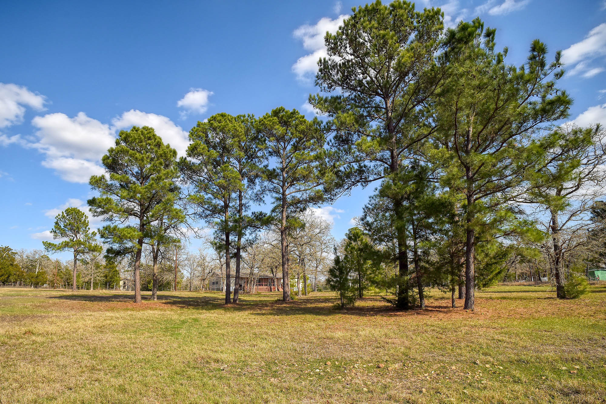 552 South Old Potato Road Paige, TX 78659 - Photo 37 of 40 a front view of a house with a yard