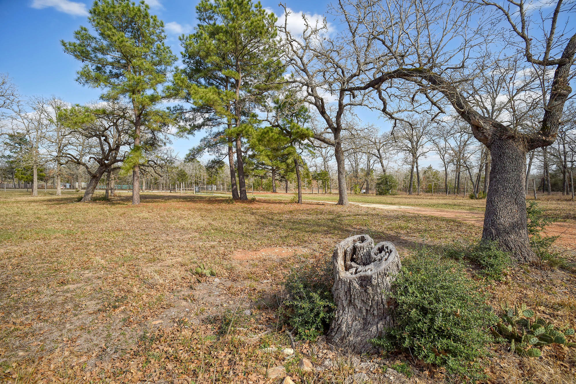 552 South Old Potato Road Paige, TX 78659 - Photo 4 of 40 Plenty of wide open spaces... It could all be yours!