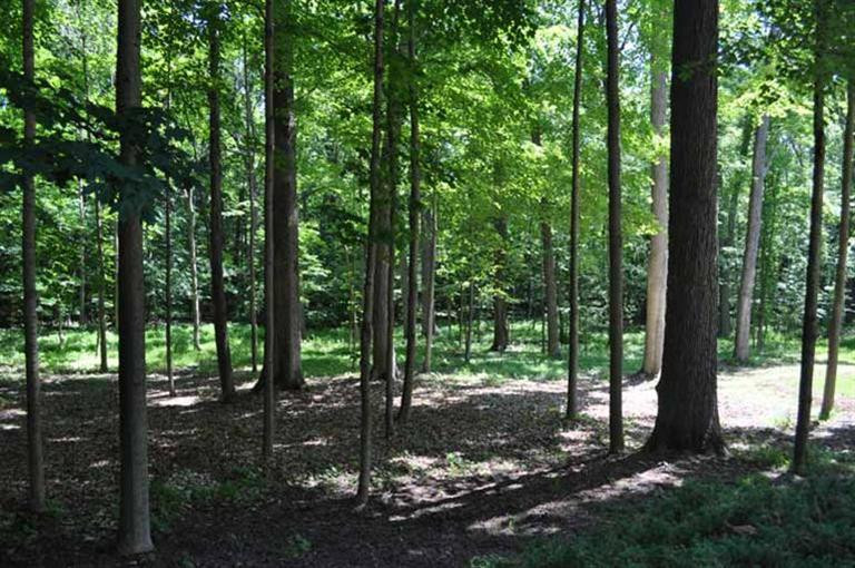 6445 Warren Road Ann Arbor, MI 48105 - Photo 28 of 28 Photo 28
