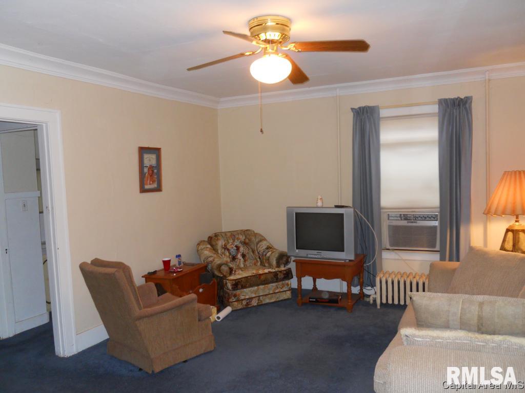 428 West Cook Street Springfield, IL 62704 - Photo 3 of 12