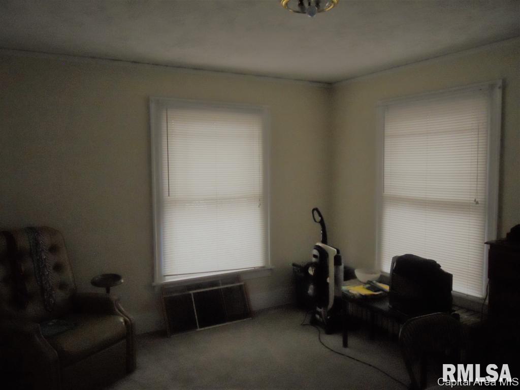 428 West Cook Street Springfield, IL 62704 - Photo 10 of 12
