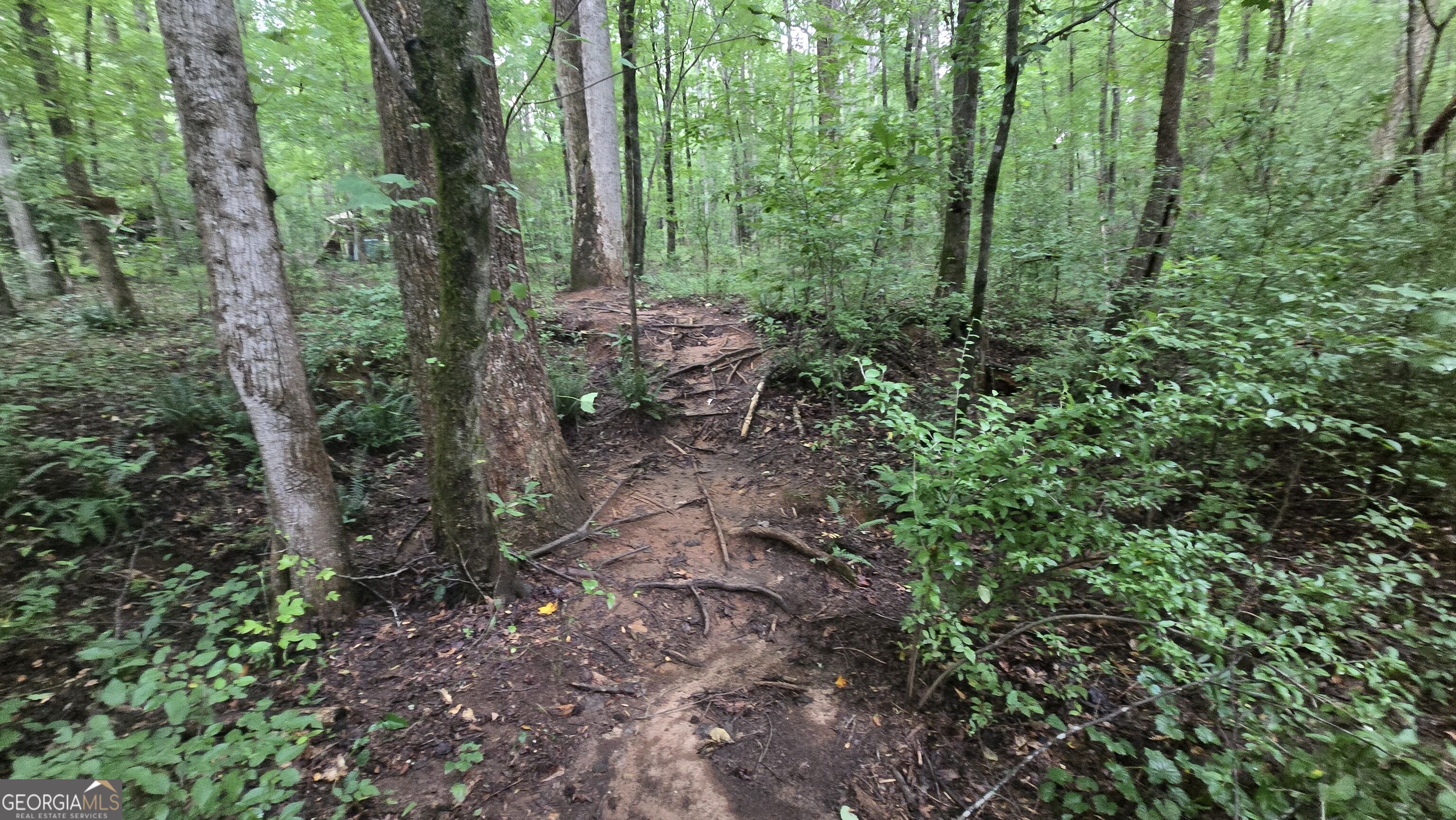 3065 Smokey Road Athens, GA 30601 - Photo 34 of 68 Gallery Image 34