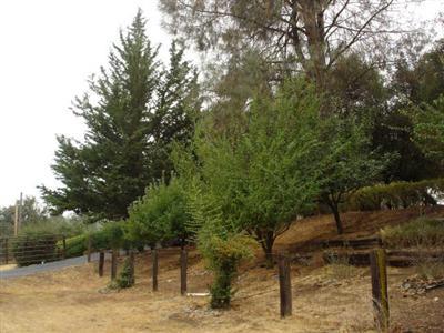 31468 Delaware Road Coarsegold, CA 93614 - Photo 13 of 13 Gallery Image 13