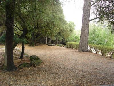 31468 Delaware Road Coarsegold, CA 93614 - Photo 6 of 13 Gallery Image 6