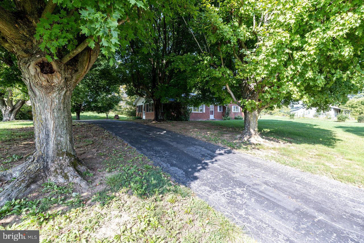 871 Crooked Run Road Mount Jackson, VA 22842 - Photo 40 of 67 Gallery Image 40