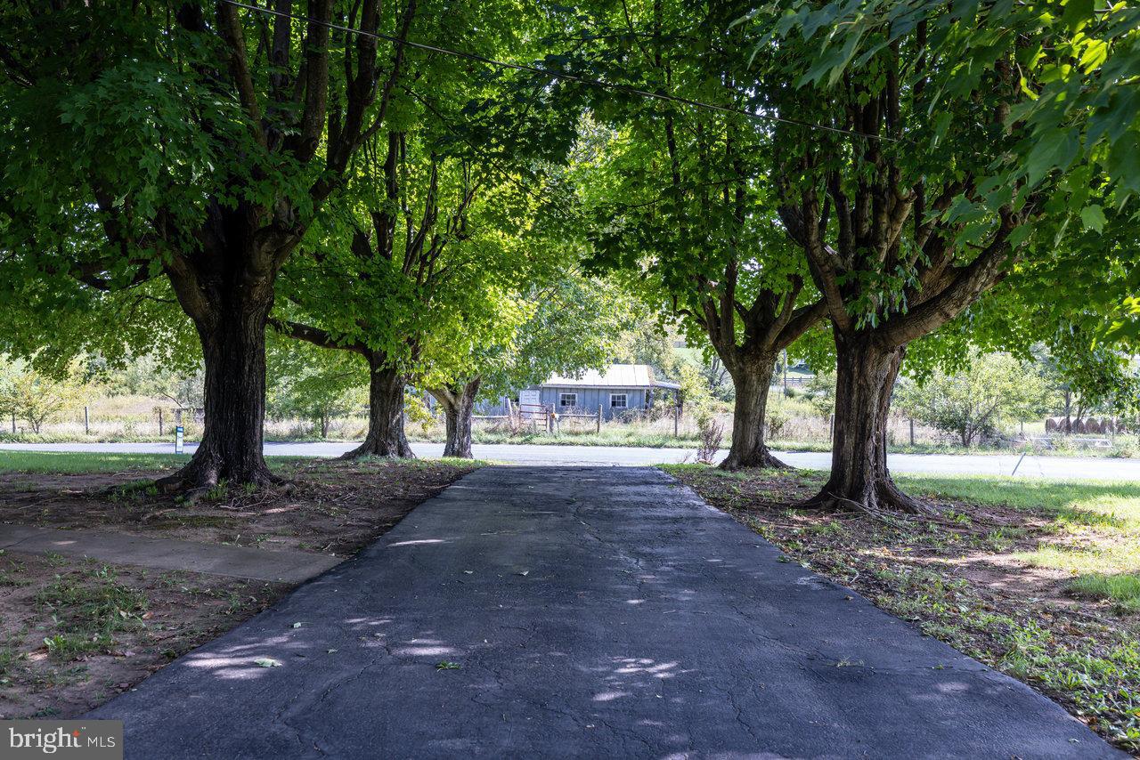 871 Crooked Run Road Mount Jackson, VA 22842 - Photo 41 of 67 Gallery Image 41
