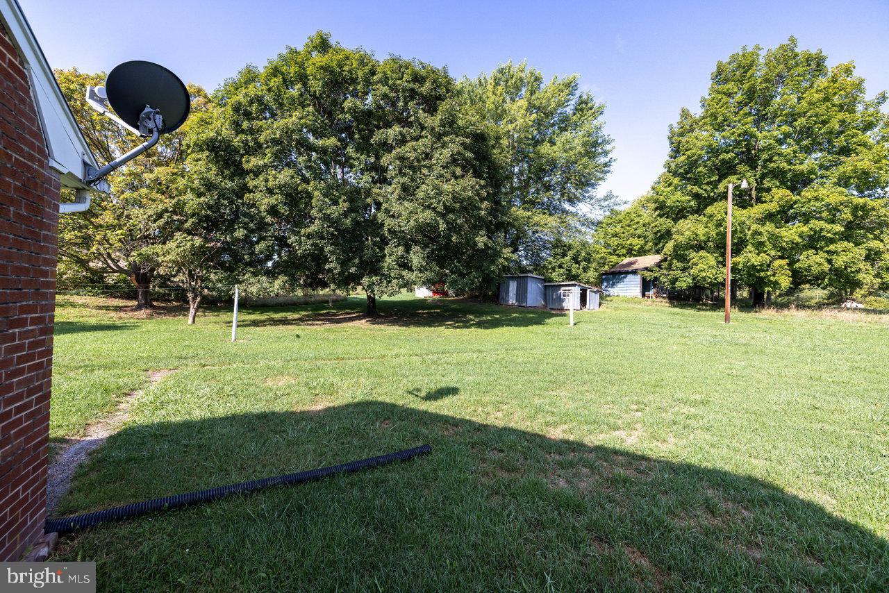 871 Crooked Run Road Mount Jackson, VA 22842 - Photo 48 of 67 Gallery Image 48
