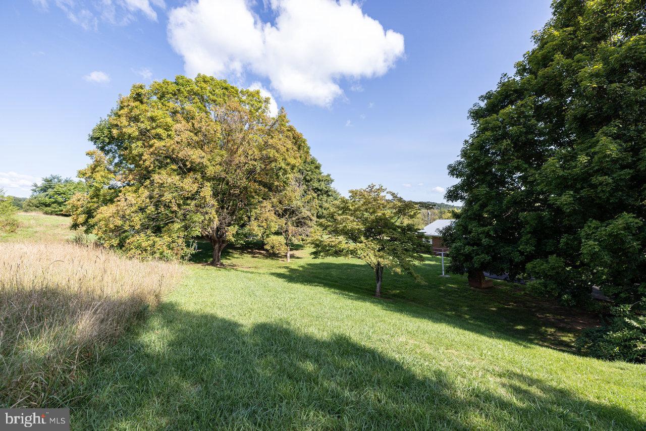 871 Crooked Run Road Mount Jackson, VA 22842 - Photo 53 of 67 Gallery Image 53