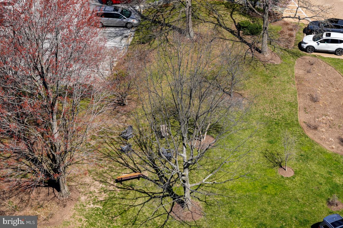 5902 Mt Eagle Drive, Unit 1615 Alexandria, VA 22303 - Photo 15 of 48 a backyard of a house with table and chairs under an umbrella