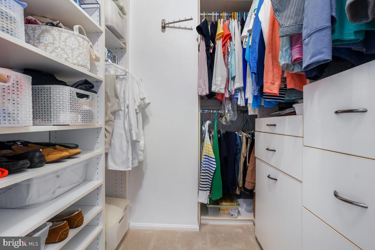 5902 Mt Eagle Drive, Unit 1615 Alexandria, VA 22303 - Photo 37 of 48 a view of walk in closet with clothes and shoes