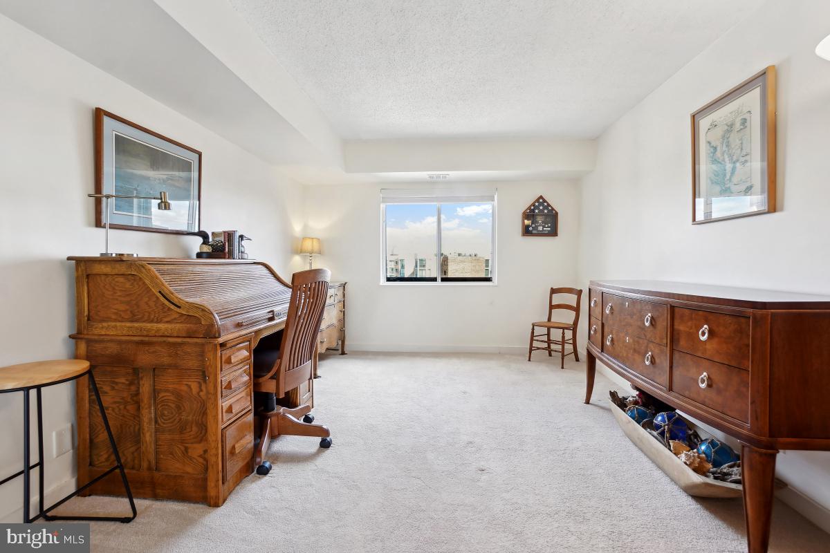 5902 Mt Eagle Drive, Unit 1615 Alexandria, VA 22303 - Photo 40 of 48 a room with furniture and windows