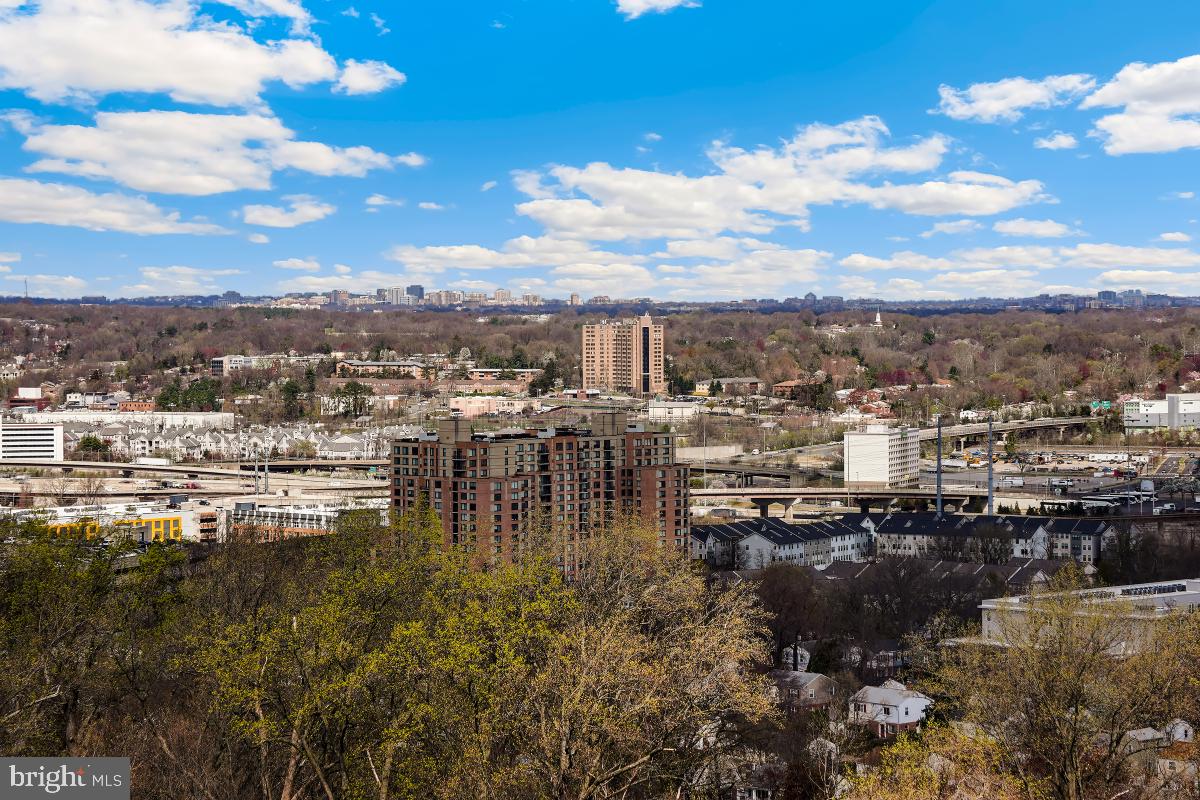 5902 Mt Eagle Drive, Unit 1615 Alexandria, VA 22303 - Photo 4 of 48 a view of a lake view