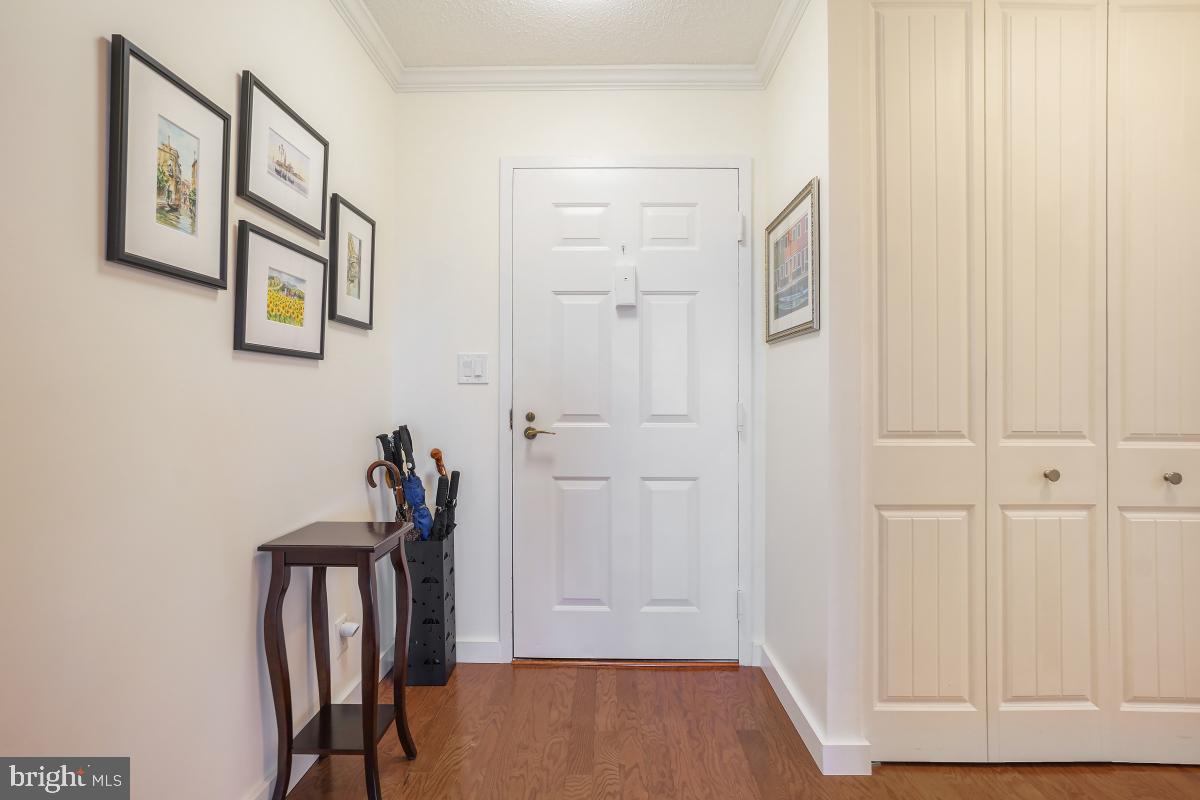 5902 Mt Eagle Drive, Unit 1615 Alexandria, VA 22303 - Photo 6 of 48 a view of a hallway with front door