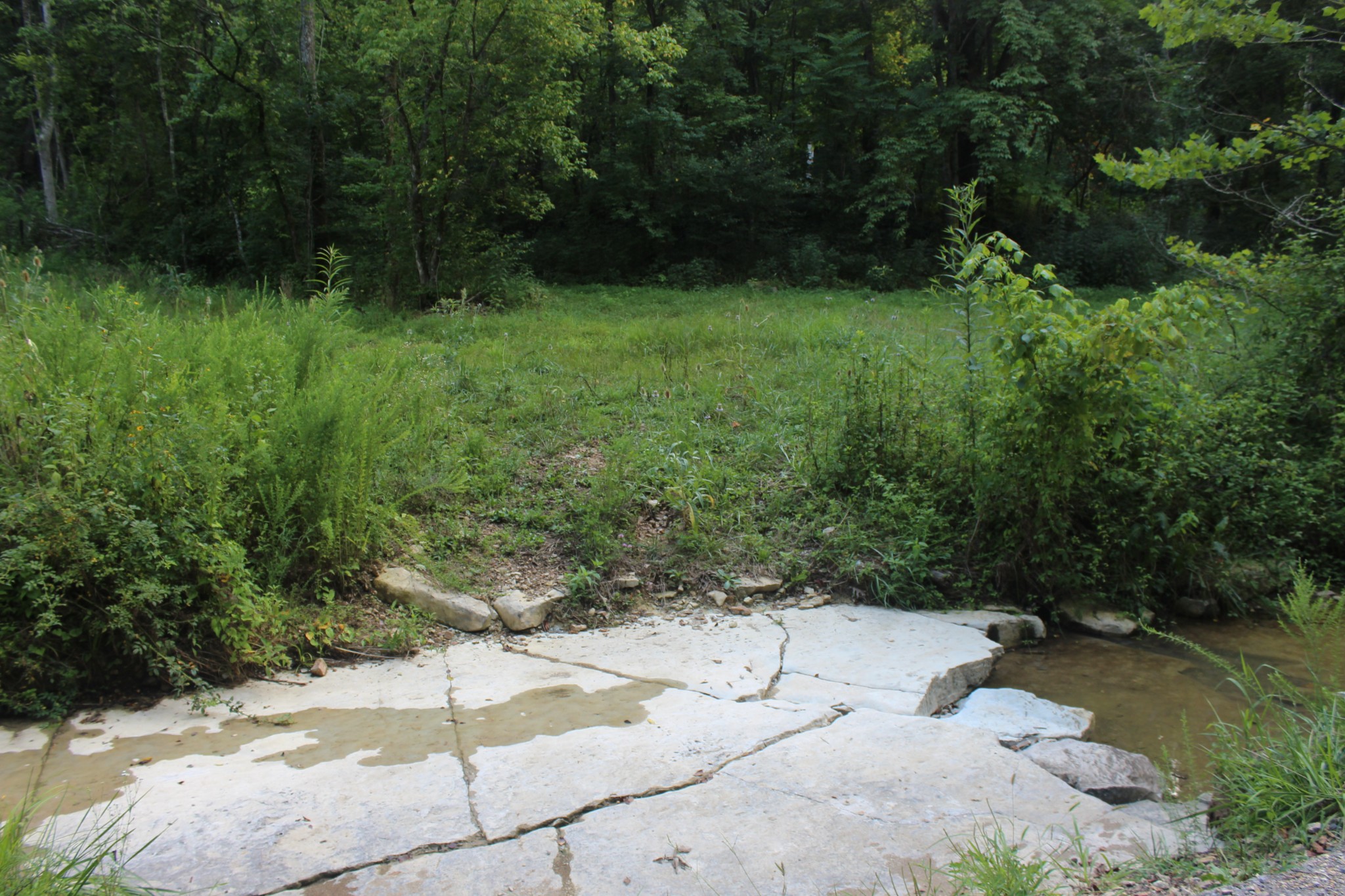 0 Patch Lane Bethpage, TN 37022 - Photo 2 of 6