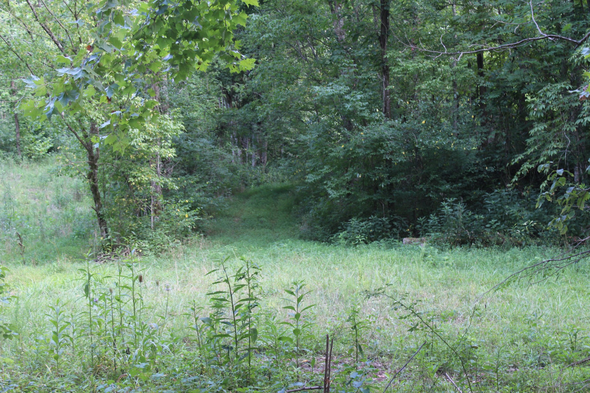 0 Patch Lane Bethpage, TN 37022 - Photo 3 of 6